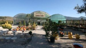 Garden Center w Hiszpanii